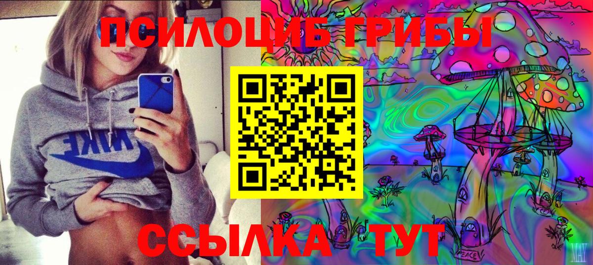 Псилоцибиновые грибы Psilocybe  Вход с VPN  Изобильный 
